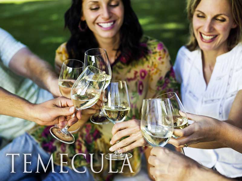 temecula wine tours limo service