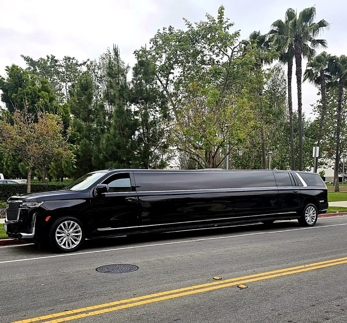 Our fleet